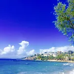 My House Bodrum *