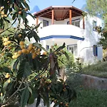 My House Bodrum גומושלוק