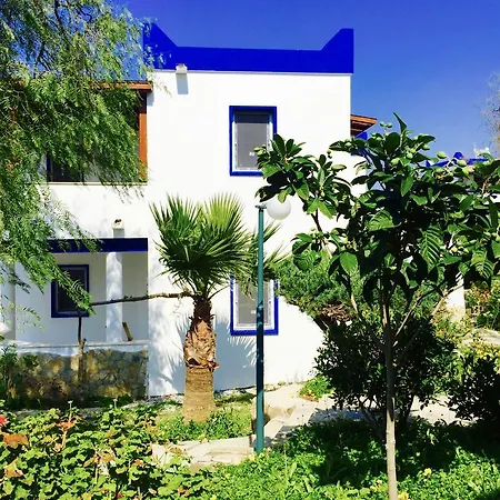 My House Bodrum *