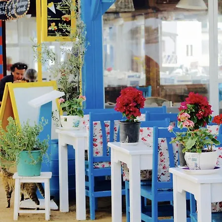 My House Bodrum Appart hôtel Gümüşlük