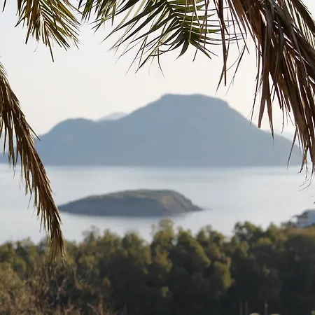 My House Bodrum * Gumusluk