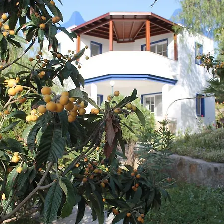 My House Bodrum Gumusluk