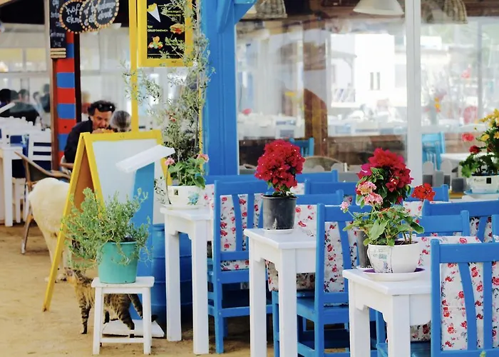 My House Bodrum アパートホテル ギュムシュルク