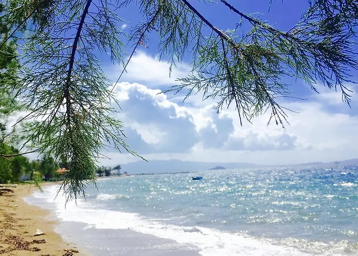 My House Bodrum Hotel apartamentowy *