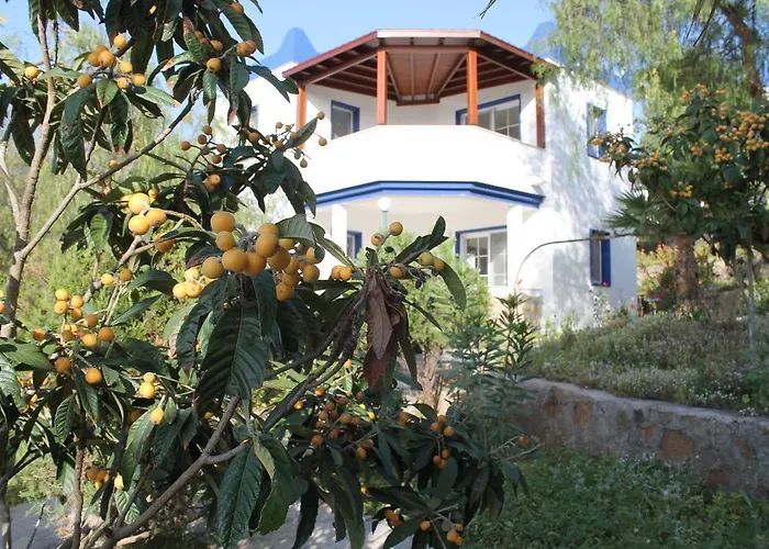 My House Bodrum ギュムシュルク