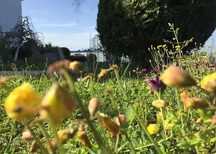 My House Bodrum Hotel de apartamente