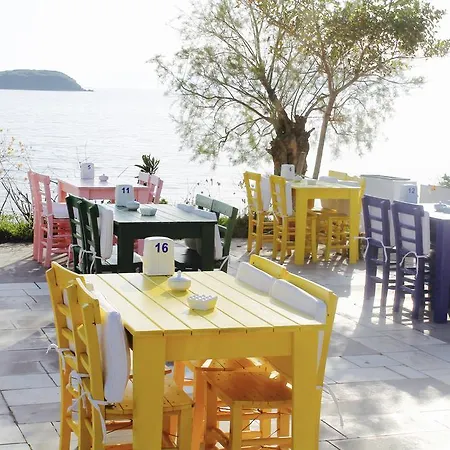 My House Bodrum *